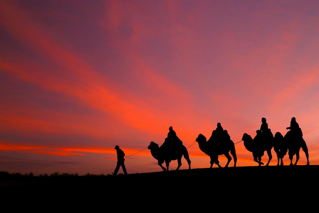 Camel Caravan at Dusk